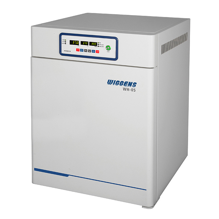 WH-05 恒温培养箱图片