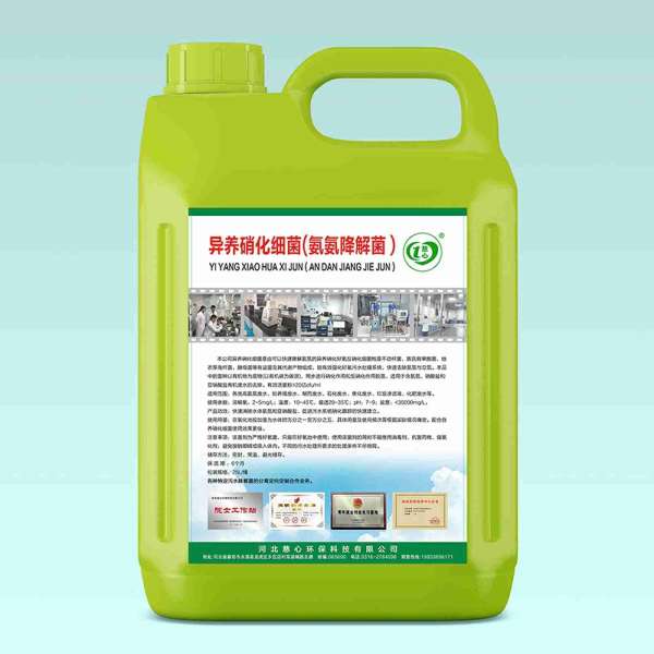异养硝化细菌(氨氨降解菌）图片