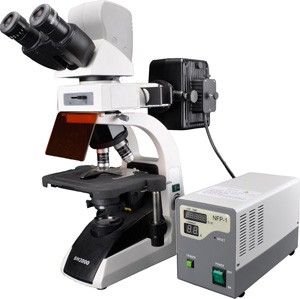 BM2000荧光生物显微镜图片