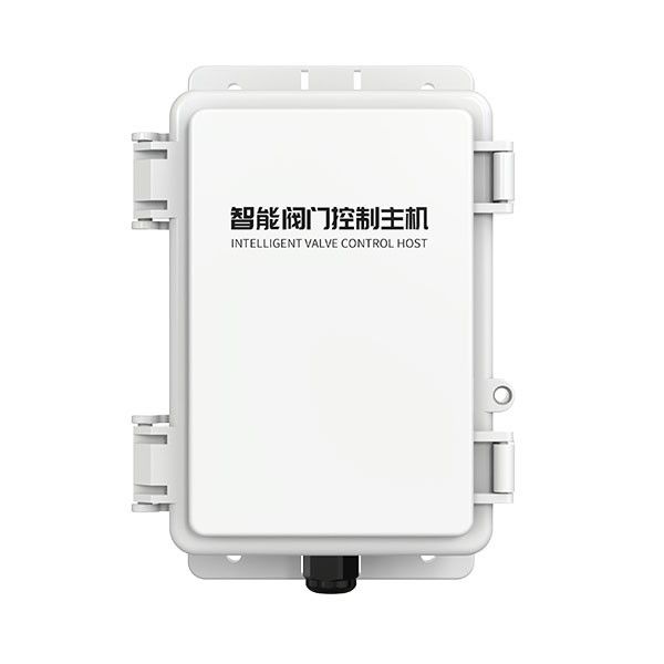 RS-IVCH-EVA1-x-DC-1智能阀门控制主机图片