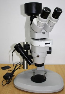 XTM-80高清体视荧光显微镜图片
