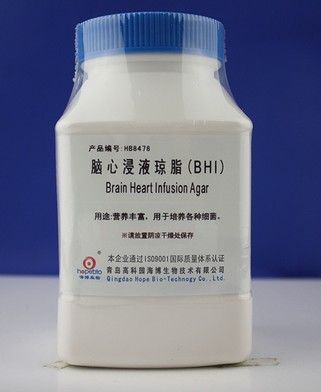 脑心浸液琼脂图片