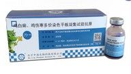 鸡白痢鸡伤寒凝集试验抗原图片