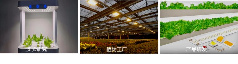 远方光电