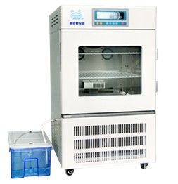 LRH-250-HSE精密型恒温恒湿箱图片