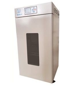 RH-250电热恒温培养箱图片