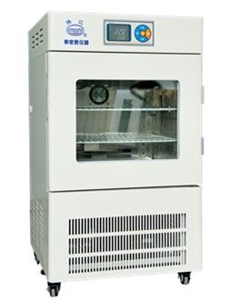 RH-150电热恒温培养箱图片