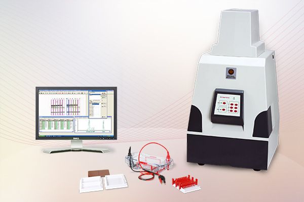 Tanon 1600/1600R全自动数码凝胶图像分析系统图片