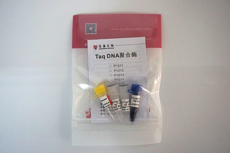 Taq DNA聚合酶图片