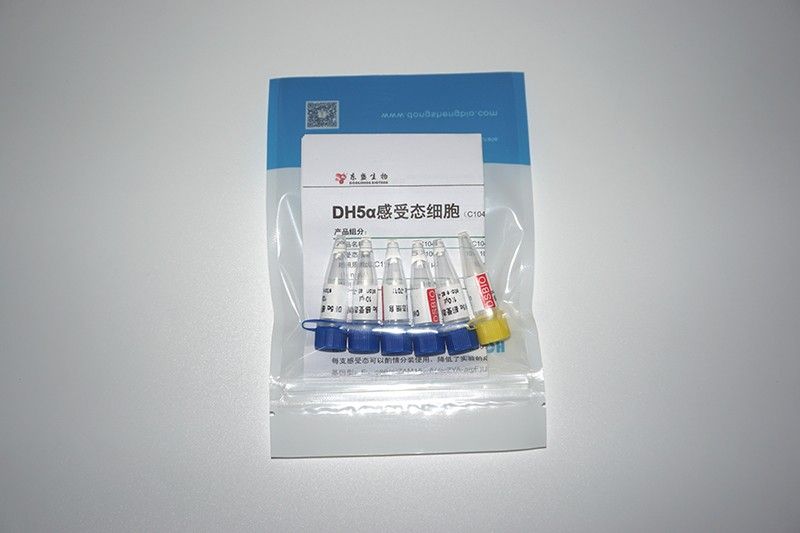 DH5α感受态细胞图片