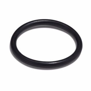 O-ring, nitrile, 1 inch id, 1-3/16 inch od, 3/32 inch thick, for spray chamber bung on Mark 7 atomization system, for aqueous solutions图片
