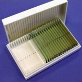 低辐射(Kevley)玻片,25/包图片