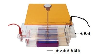 TGreen Monitor plus蓝光电泳监测仪套装(OSE-470ML)图片