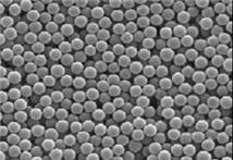 ACRYSPHERE MTX 单分散聚甲基丙烯酸甲酯交联微球图片