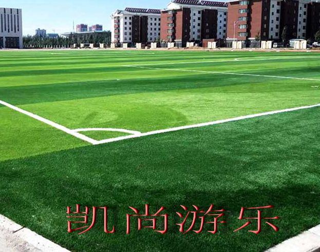 公园学校小区景区人造草坪图片