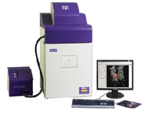 【UVP】小动物活体成像/凝胶成像系统iBox Scientia 500/600图片
