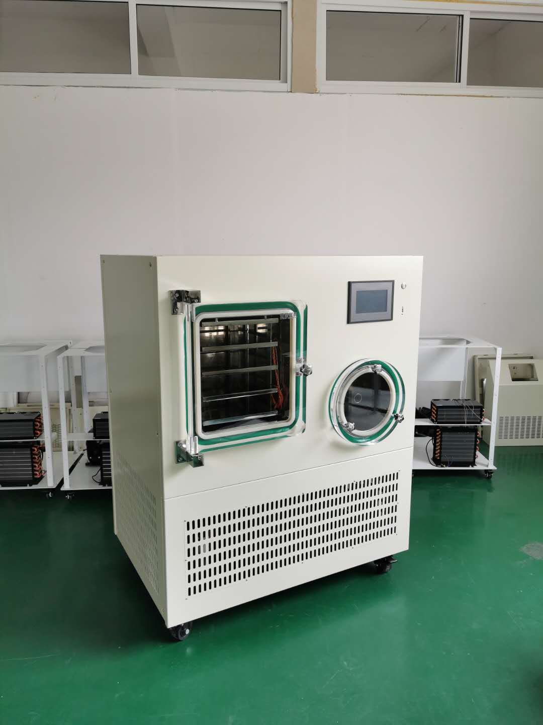 亚星仪科冷冻干燥机LGJ-50FG普通型图片
