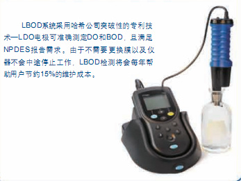 LDO 便携式溶氧仪图片