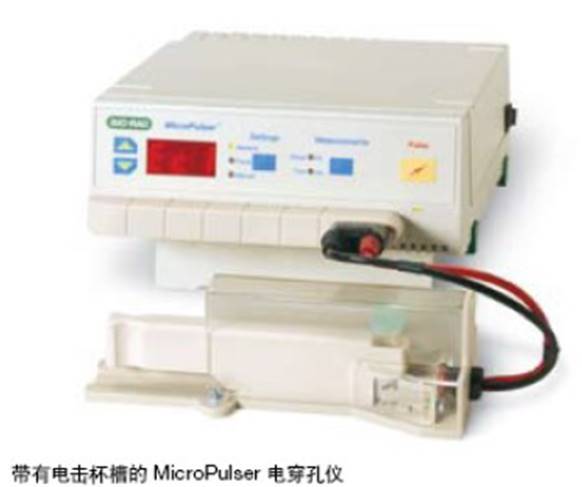 伯乐电穿孔仪MicroPulser图片