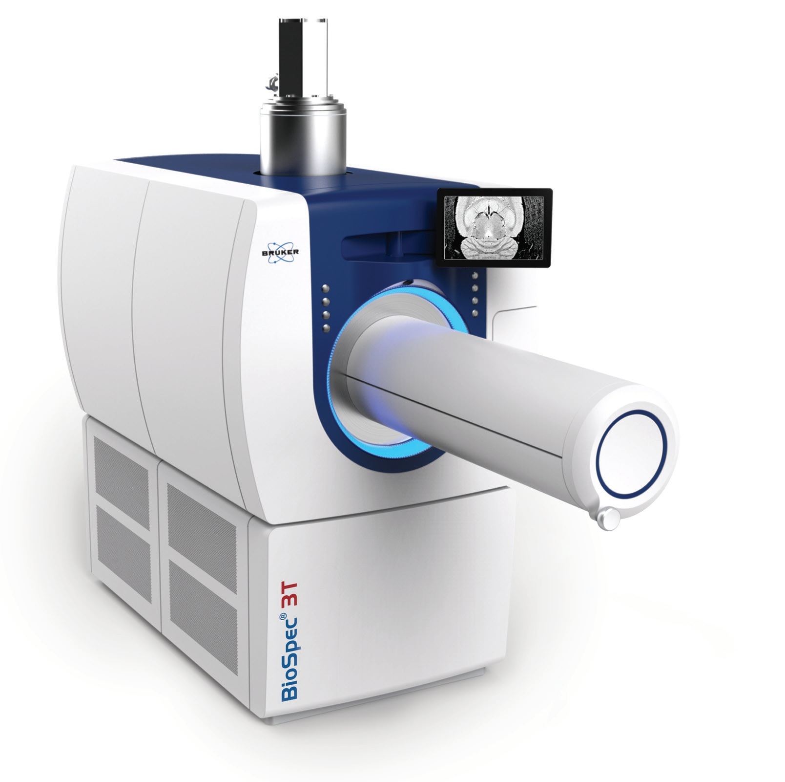 BioSpec3T MRI/MRS 动物活体成像图片