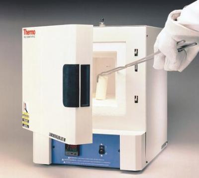 1100℃ MoldathermR 箱式炉图片