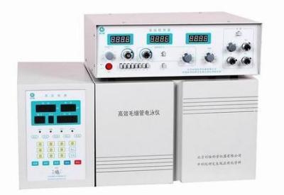 高效毛细管电泳仪(安培检测)CL1010图片