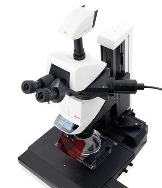 立体显微镜系统 Leica Motorfocus图片