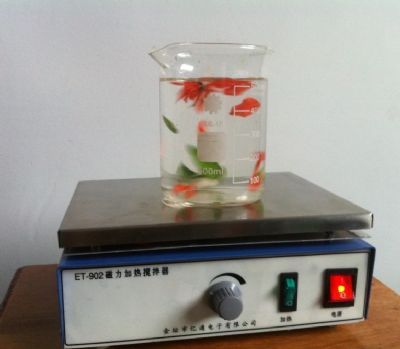 ET-902磁力加热搅拌器图片