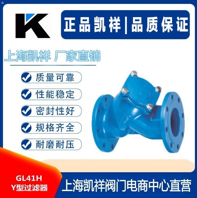 GL41H Y型过滤器图片