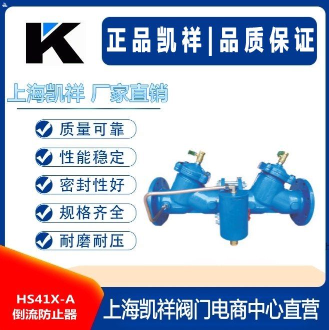HS41X-A倒流防止器图片