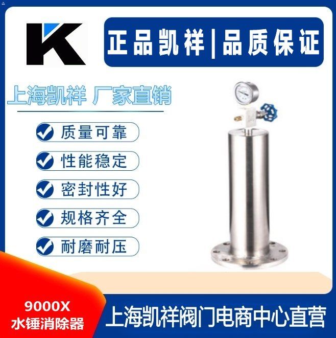 9000X水锤消除器图片