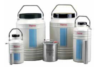 Thermo Scientific Thermo液氮转移罐图片