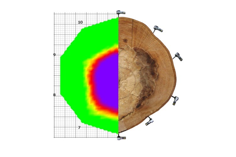 Fakopp声波断层扫描系统ArborSonic 3D图片