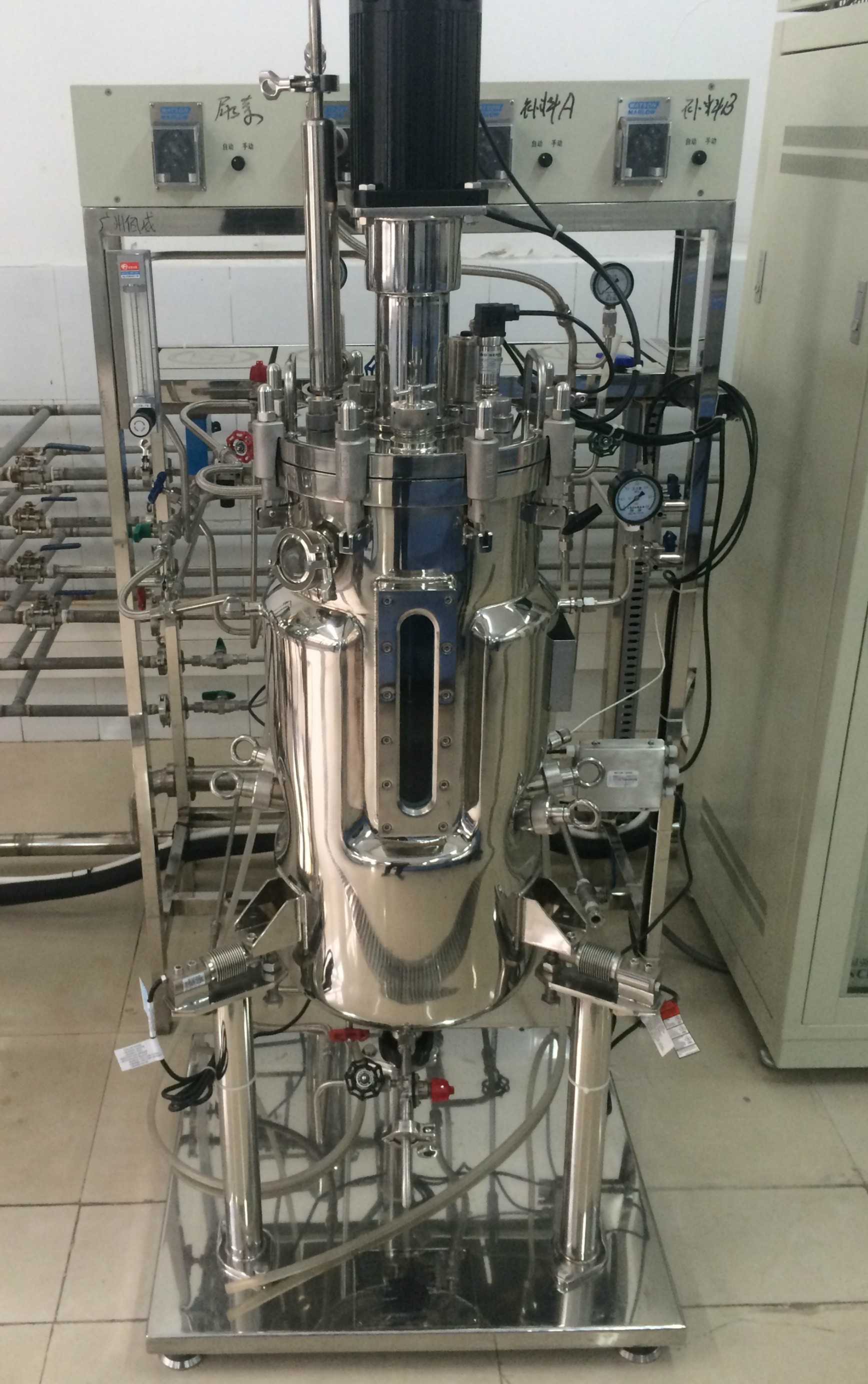 国强 50L发酵罐图片