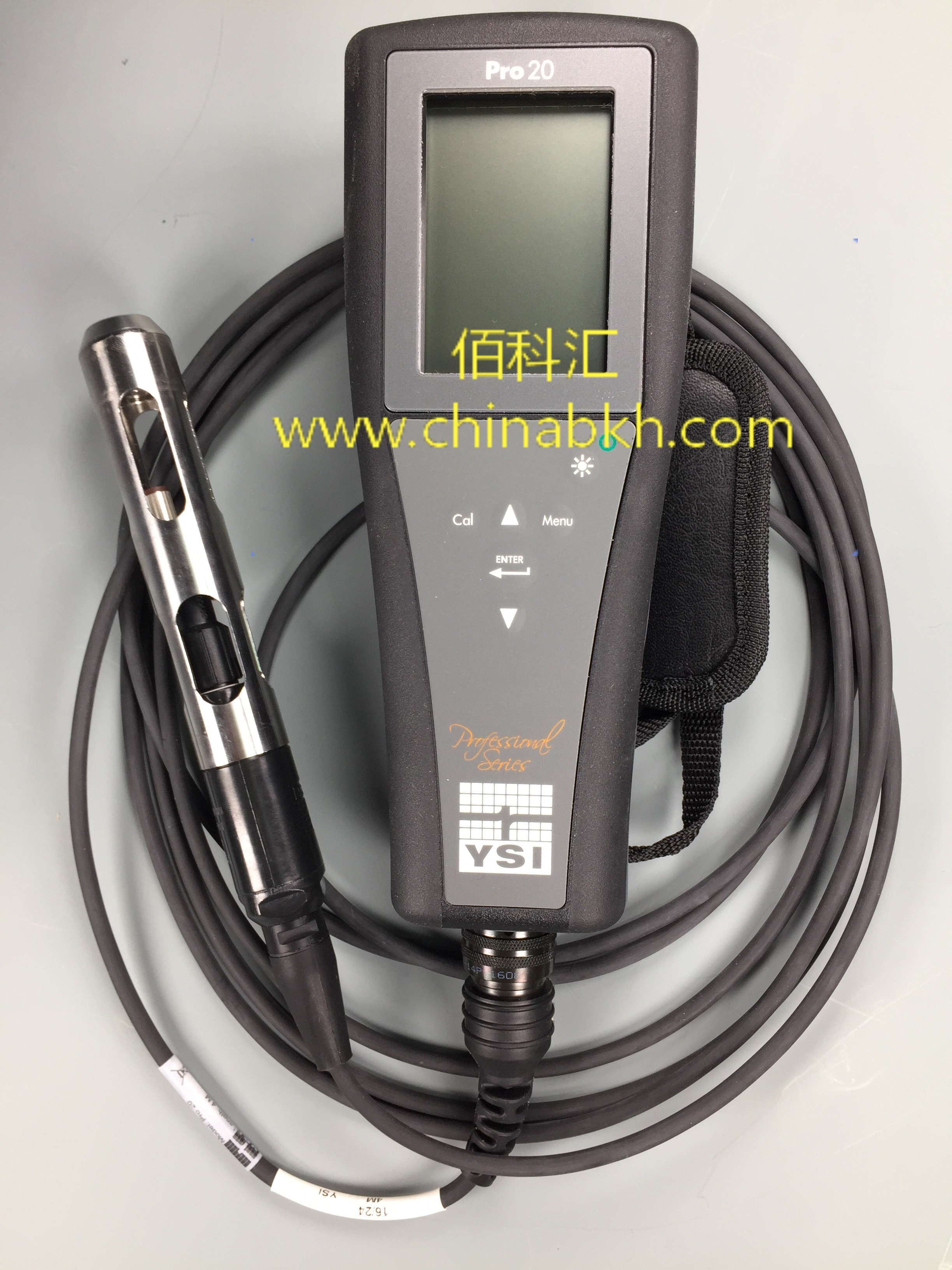 YSI Pro20手持式野外溶解氧测量仪（膜法）图片