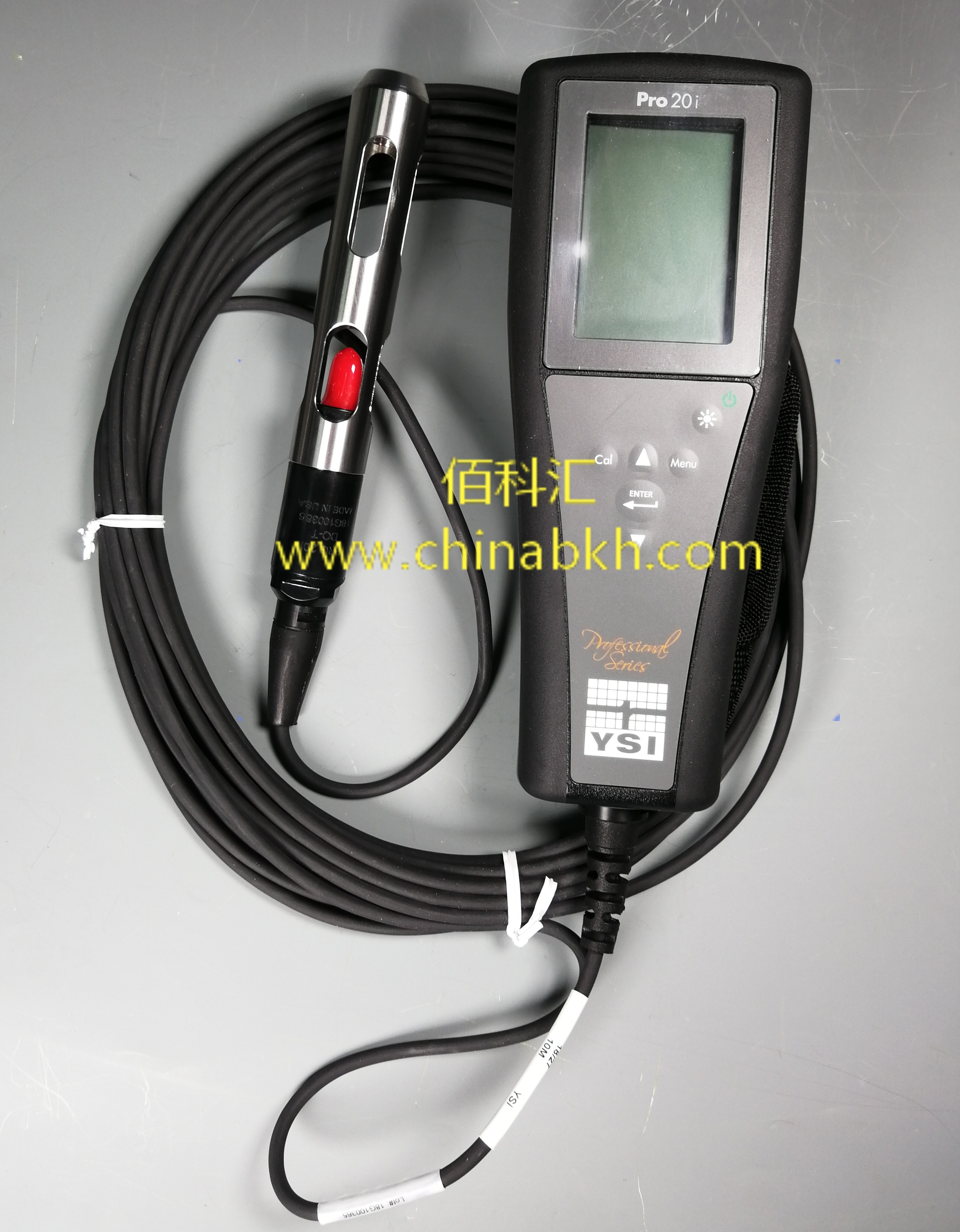 YSI Pro20i手持式野外溶解氧测量仪图片