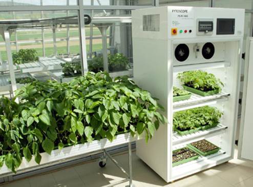 FytoScope FS-RI 1600中型植物生长室图片
