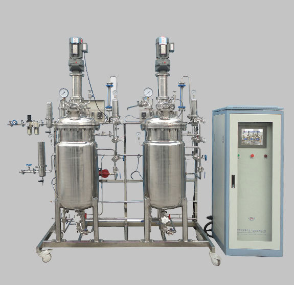 FC-ZN-10-100L智能型二级生物发酵罐图片