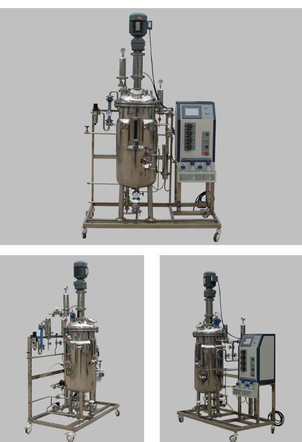 FC-ZN-100L智能型液体发酵罐图片