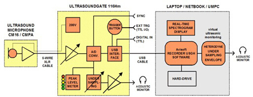 UltraSoundGate 116Hm 动物声谱分析系统图片