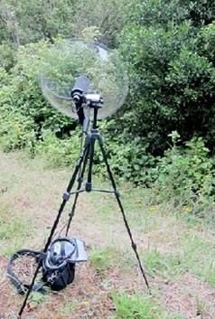 动物鸣声分析系统, 动物鸣声分析系统,鸟类鸣声分析系统, 鸟类声音分析系统, 鸟类分析系统图片