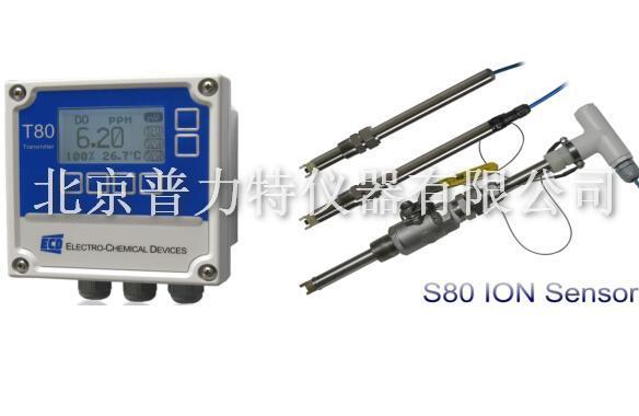 S80 在线离子计图片