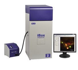 iBox Explorer 活体小动物荧光显微成像系统图片