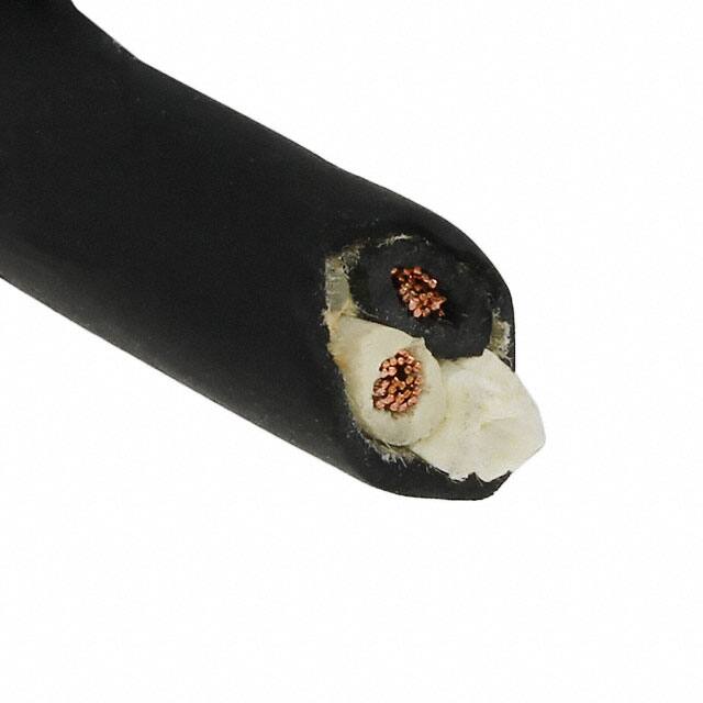 2 芯多芯线缆黑色 16 AWG-1000.0'(304.8m) 01312.41.01图片