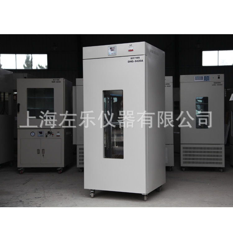 电热恒温鼓风干燥箱920L DHG-9920A图片