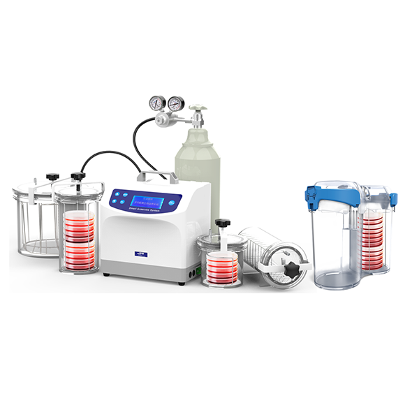 DW-100A-K2智能厌氧微生物培养系统图片