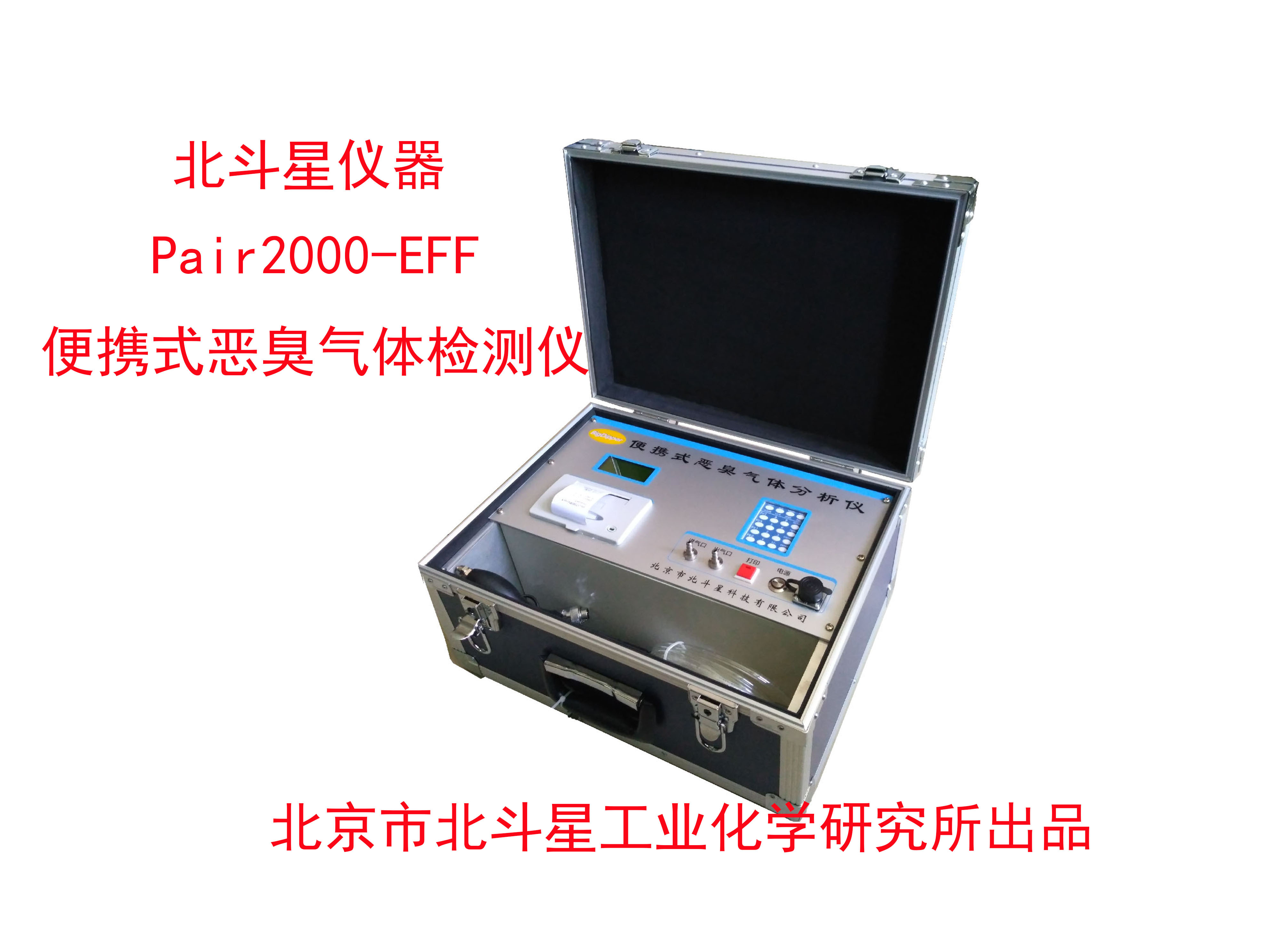 垃圾焚烧发电厂恶臭污染物检测仪图片