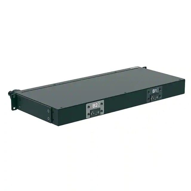 BASIC PDU, 30AMP, (12)C13, NEMA P12B47M图片