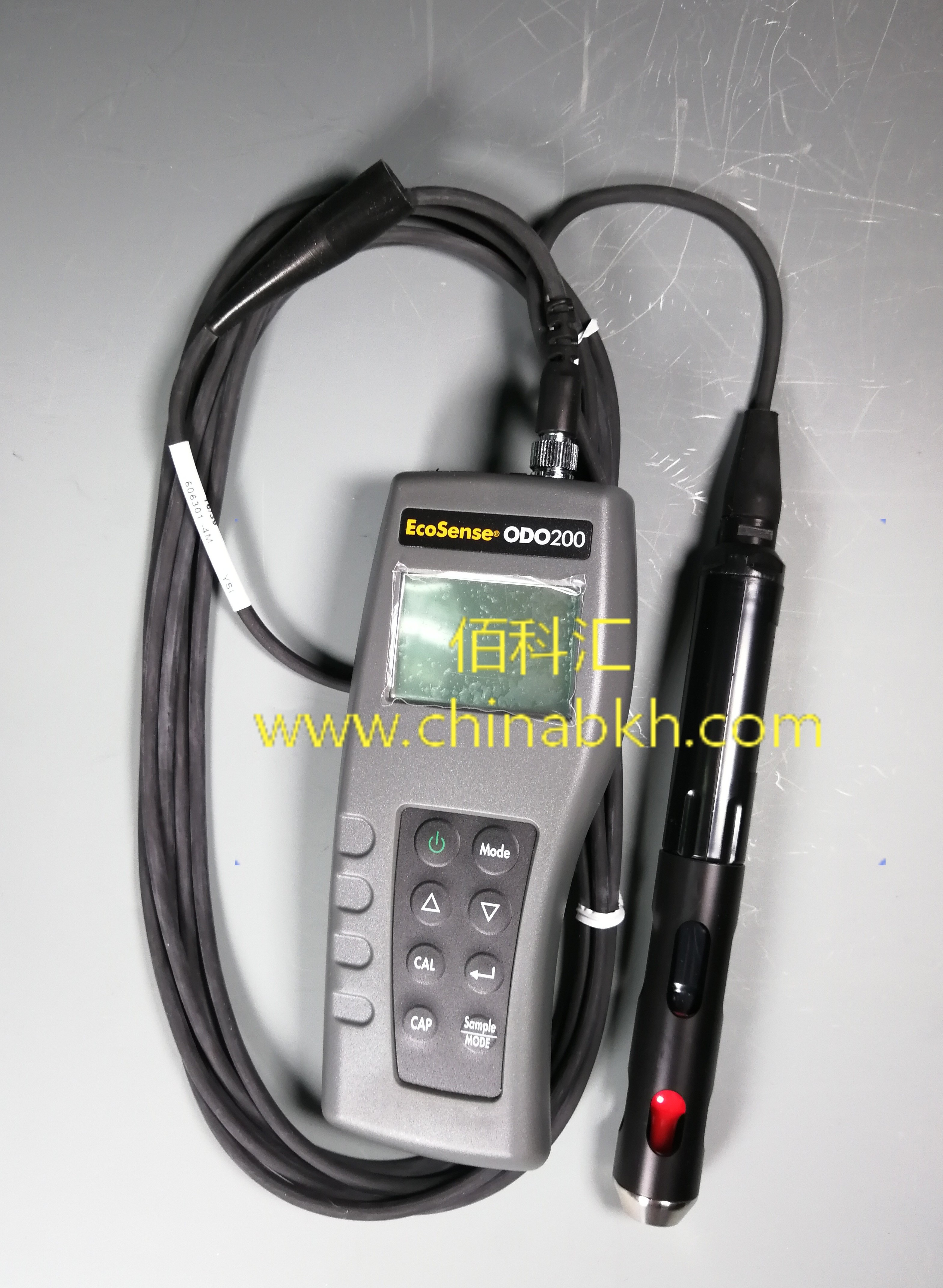 YSI ODO200手持式溶解氧测量仪图片