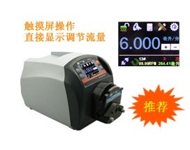 BT101L流量型蠕动泵图片